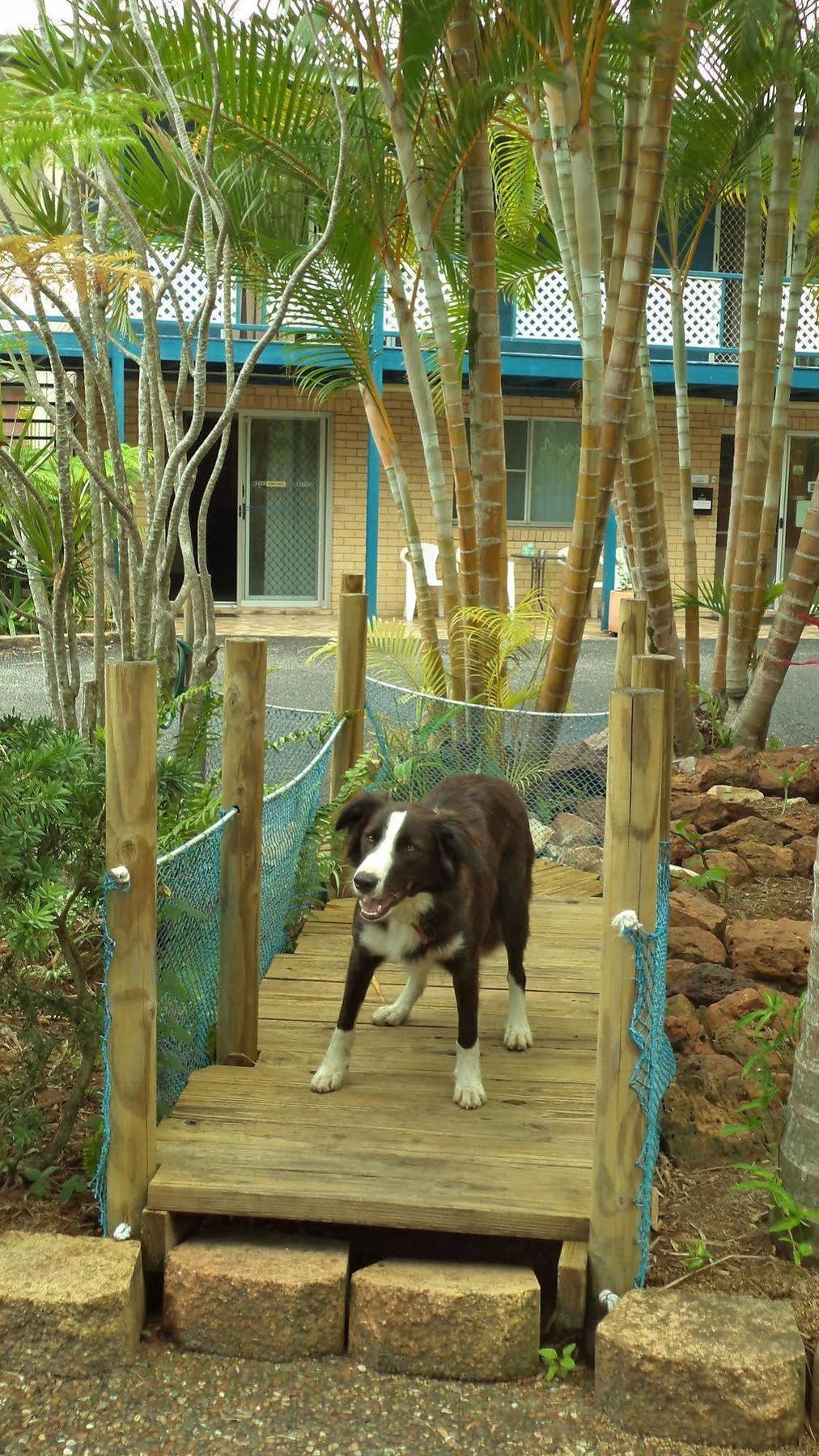 Tin Can Bay Motel Esterno foto